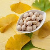 Ginnan – hương vị dịu ngọt của mùa thu Nhật Bản